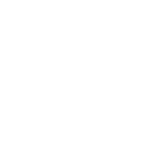 diamond vault (logo) 2